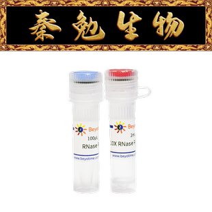 R7092L 碧云天 R7092S R7092M RNase