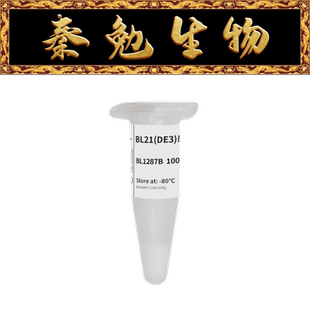 Biosharp白鲨 BL1287B BL21(DE3)感受态细胞