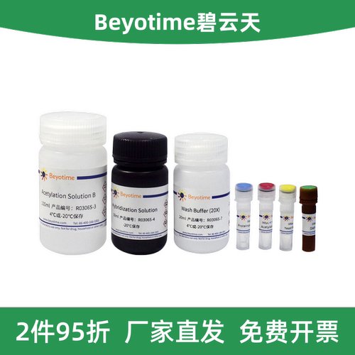 荧光原位杂交RNA检测试剂盒