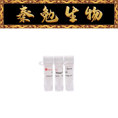索莱宝RNaseA核糖核酸酶AR8020