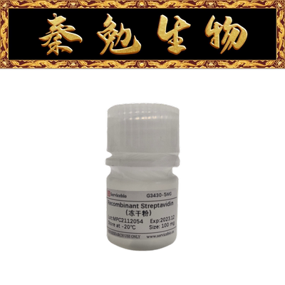 赛维尔重组链霉亲和素G3430-5MG