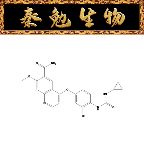赛维尔LenvatinibWGC308011-2mg