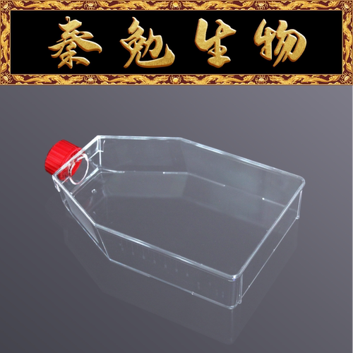 LABSELECT225c㎡细胞培养瓶13421