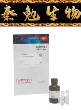 Invitrogen 货号：Q33230 Qubit 1X dsDNA HS 检测试剂盒
