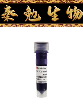 赛维尔 G2075-1ML 5×SDS-PAGE蛋白上样缓冲液无气味还原型
