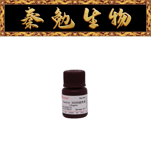 索莱宝Hoechst33258染色液