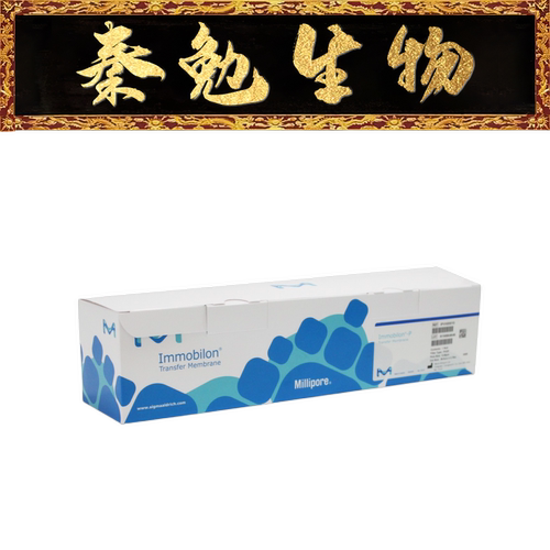 PVDF膜26.5cm*3.75m0.45µm