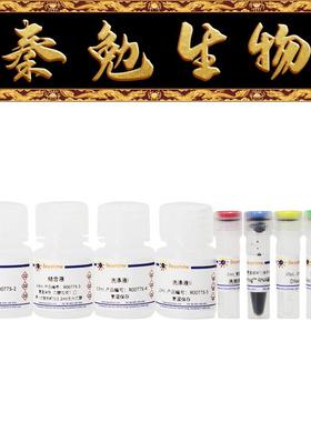 碧云天 R0077S/M/L BeyoMag™磁珠法动物RNA抽提试剂盒