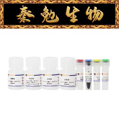 碧云天磁珠法动物RNA抽提试剂盒