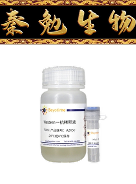 碧云天 AF0144 ERK1 Rabbit Polyclonal Antibody