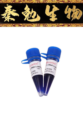 索莱宝 货号：R1055 2×RNA Loading Buffer(变性)