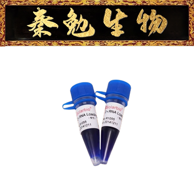 索莱宝RNALoadingBufferR1055
