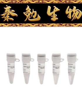 赛维尔 货号：G3322-05 染料法SYBR Green qPCR预混液(2× 高ROX)