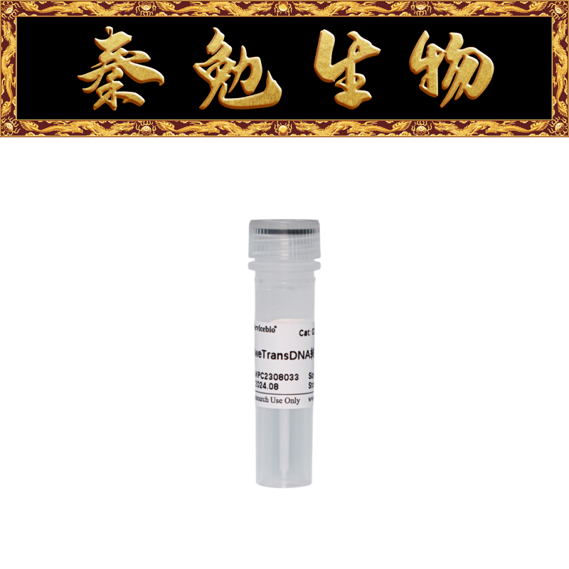 赛维尔DNA转染试剂G1805-0.5ML