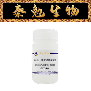 碧云天 P0013 Western及IP细胞裂解液