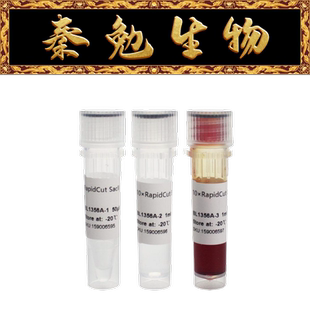 Biosharp白鲨 BL1356A RapidCut SacII 快速限制性内切酶