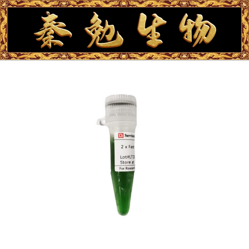 赛维尔PCR预混液G3304-01