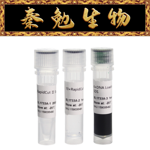 Biosharp白鲨RapidCutⅡSacI