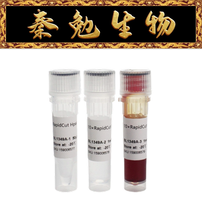 Biosharp快速限制性内切酶