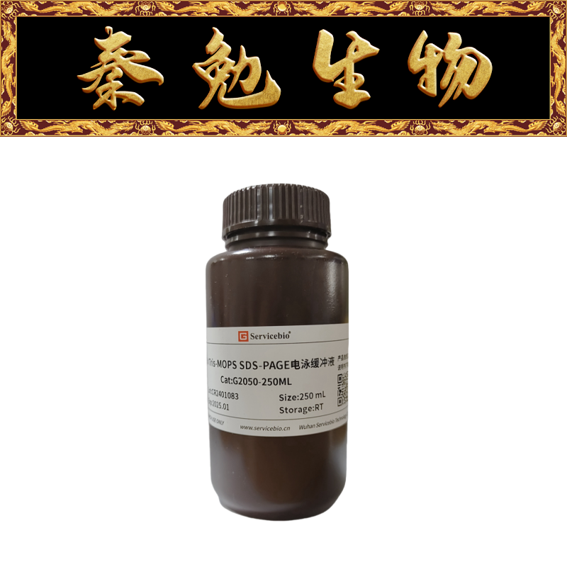 SDS-PAGE电泳缓冲液赛维尔