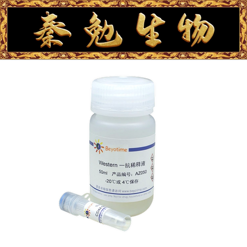 碧云天CD44小鼠单克隆抗体