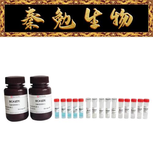赛维尔BCA蛋白定量检测试剂盒