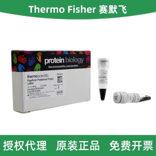 Thermo Scientific赛默飞 26616 预染蛋白Ladder(10-180kDa)