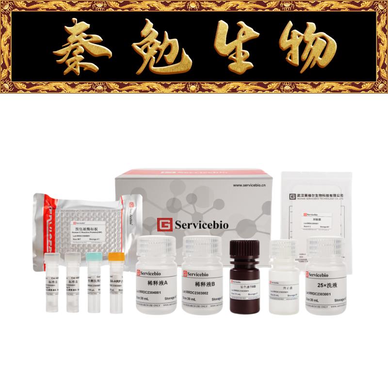 赛维尔MouseIFN-gamma