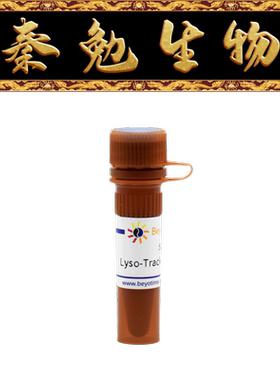 碧云天 C1047S Lyso-Tracker Green (溶酶体绿色荧光探针)