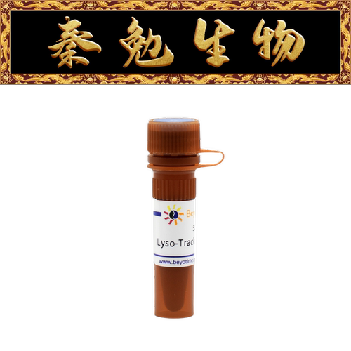 碧云天溶酶体绿色荧光探针