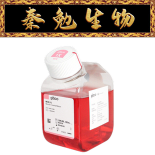 MEM培养基 080 货号:11095 谷氨酰胺 不含HEPES 含L Gibco