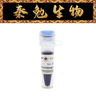 Recombinant16-TagProtein