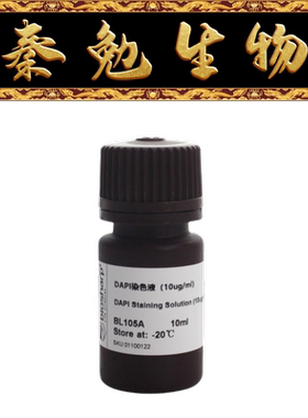 Biosharp白鲨 BL105A DAPI染色试剂（即用型）