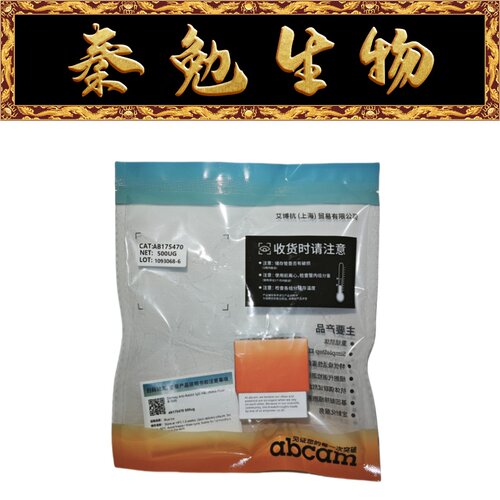 Abcam驴抗兔IgGH&Lab175470