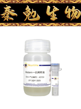 碧云天 AF0264 PDI Rabbit Polyclonal Antibody