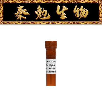 赛维尔FITC标记的山羊抗兔IgG