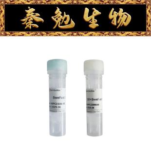 Cut 赛维尔 SweFast 100T DpnII 货号：G3527