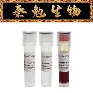 Biosharp白鲨 BL1353A RapidCut NsiI 快速限制性内切酶