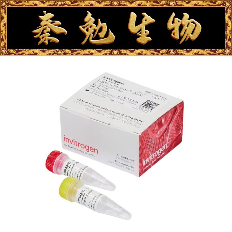 Invitrogen L3000001/8/15 Lipofectamine™ 3000 转染试剂