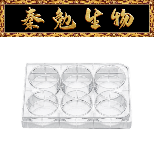 6孔细胞培养板LABSELECT11130