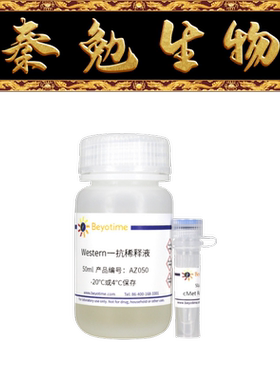 碧云天 AF0120 cMet Rabbit Polyclonal Antibody