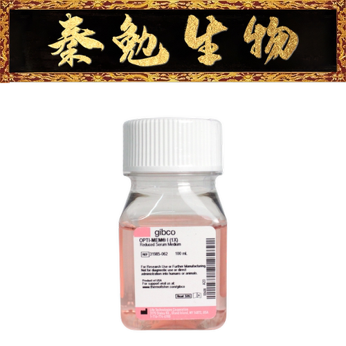 GibcoOpti-MEMI减血清培养基