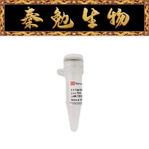 SYBRGreenqPCR预混液赛维尔