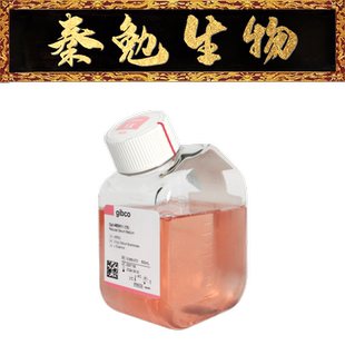 Opti 谷氨酰胺 Gibco 070 减血清培养基 含L 货号：31985 MEM