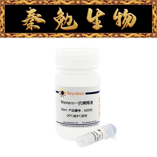 碧云天 AF1906 PBP兔单克隆抗体