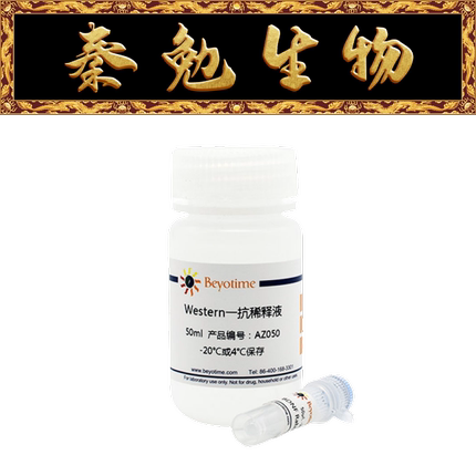 碧云天 AF1717 TOMM20兔单克隆抗体