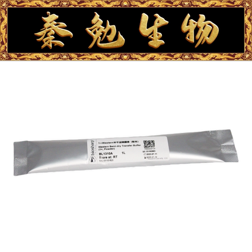 Biosharp1×Western半干法转膜液
