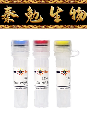 碧云天 R7070S/R7070M/R7070L E. coli Poly(A)聚合酶