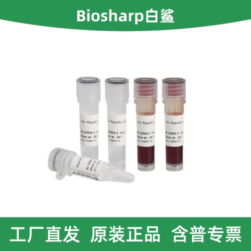 RapidCutSalI快速限制性内切酶
