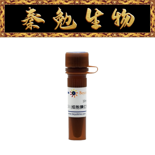 碧云天DiI(细胞膜红色荧光探针)